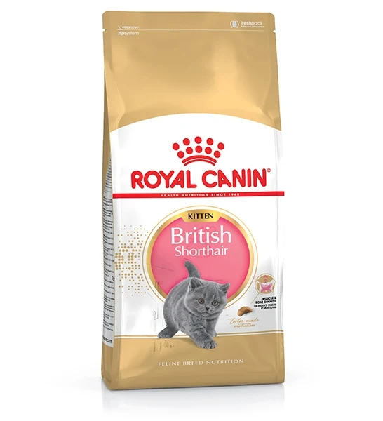 Royal Canin British Shorthair Kitten Dry Food 2KG