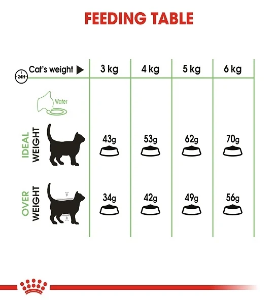 Royal Canin Digestive Care Adult Dry Cat Food