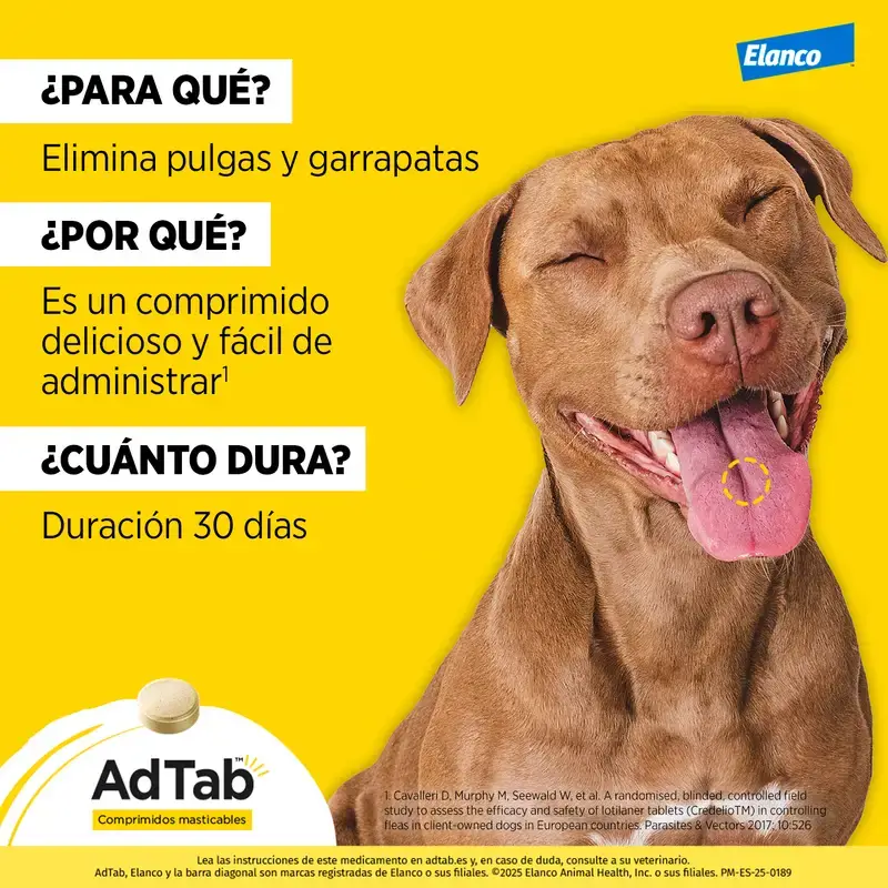 Adtab 112Mg Comp. Masticables Perros 2,5-5,5Kg, 6 Comprimidos