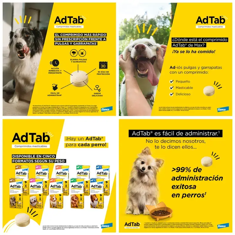 Adtab 112Mg Comp. Masticables Perros 2,5-5,5Kg, 6 Comprimidos