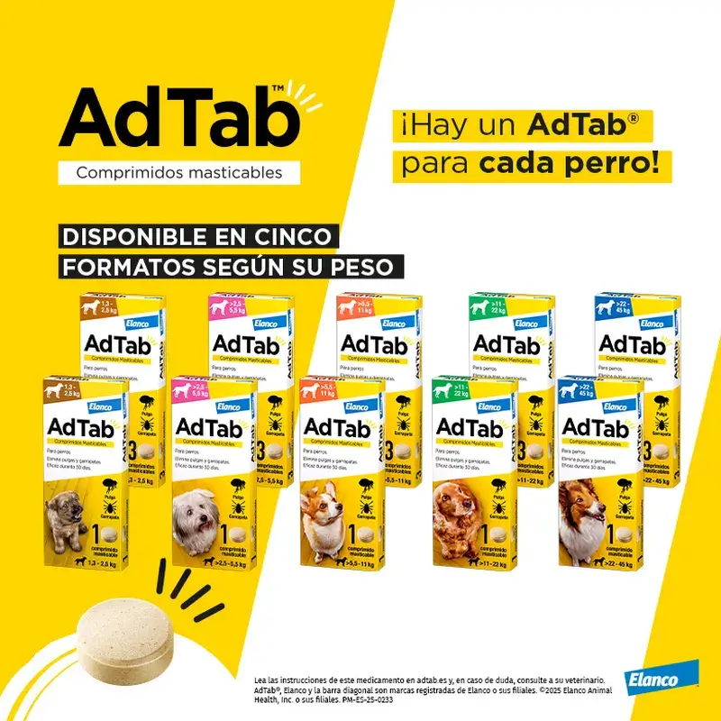 Adtab 450Mg Comprimidos Masticables Perros 11-22Kg, 2 Comprimidos