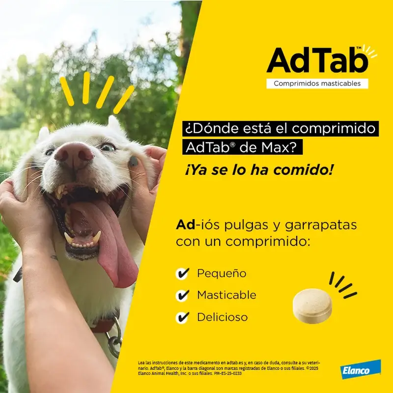Adtab 450Mg Comprimidos Masticables Perros 11-22Kg, 2 Comprimidos