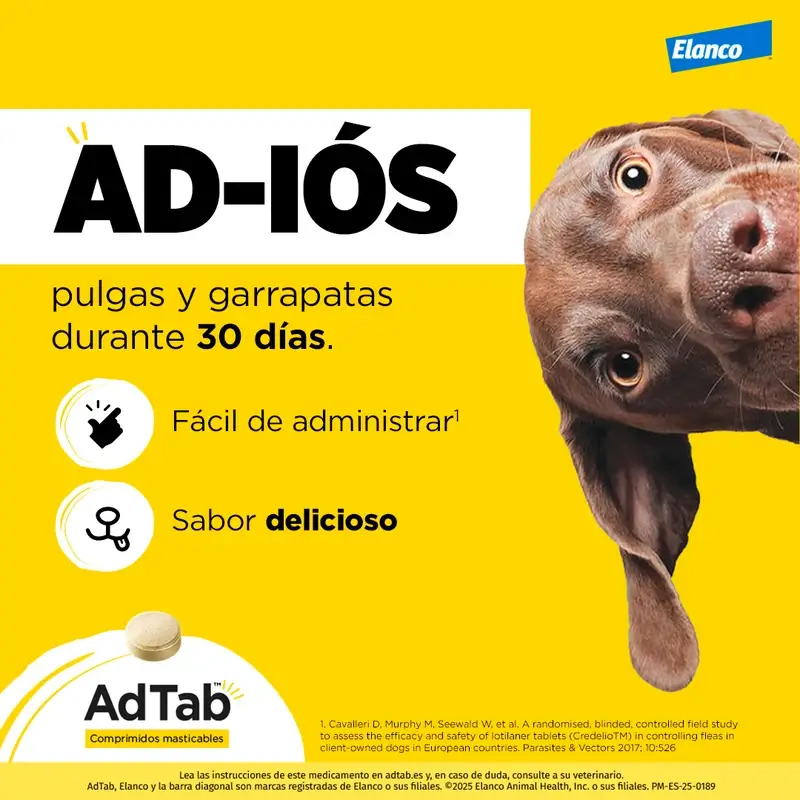 Adtab 225Mg Comprimidos Masticables Perros 5,5-11Kg, 2 Comprimidos