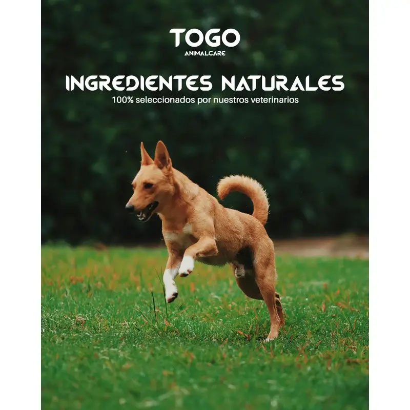 Togo Pienso Salmon Natural Hipoaltergénico, 15 kg