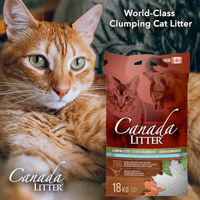 Canada LITTER Baby Powder Scented Clumping Cat Litter