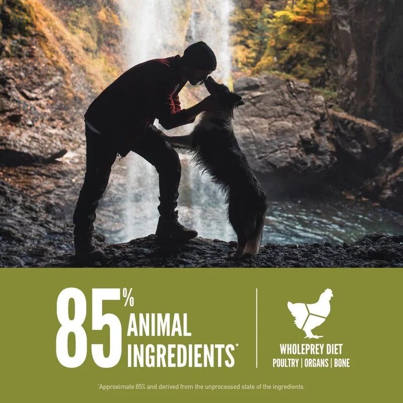 Orijen Senior Protein-Rich Dog Dry Food