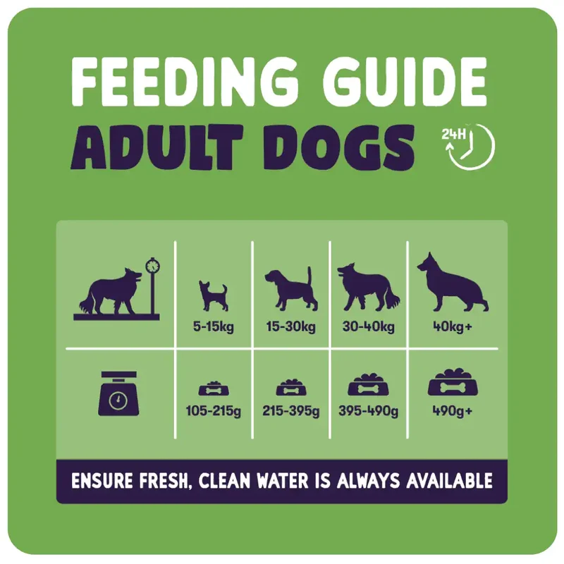 Burgess Sensitive Adult Dry Dog Food Lamb