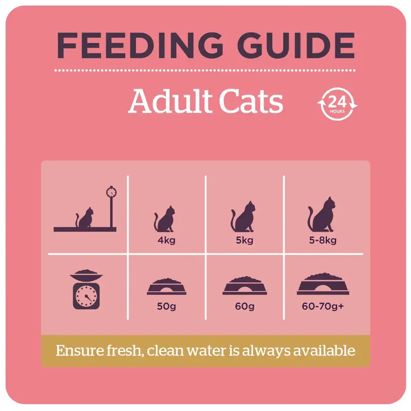 Burgess Rich In Chicken With Duck Adult Cat Dry Food