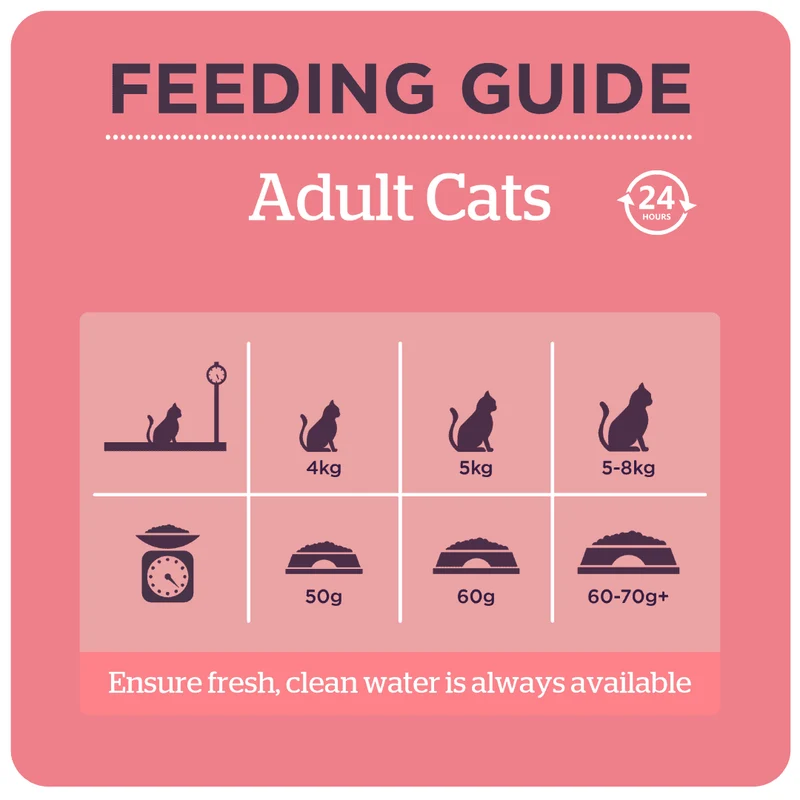 Burgess Complete Scottish Salmon Adult Cat Dry Food