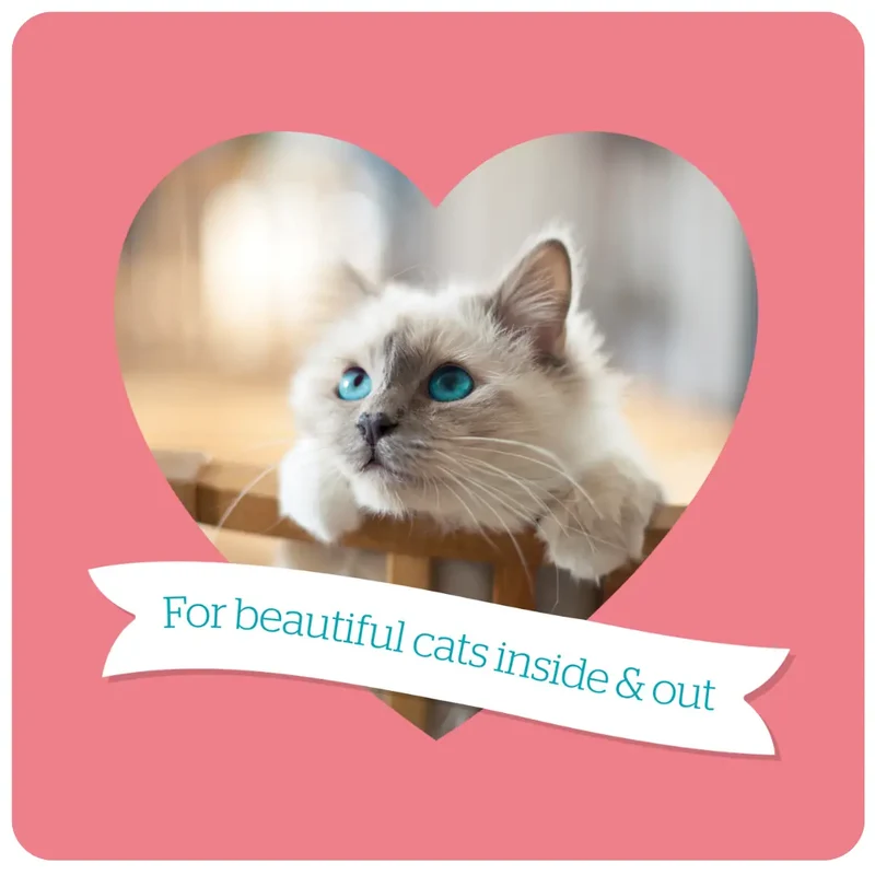 Burgess Neutered Cat Dry Cat Food Chicken