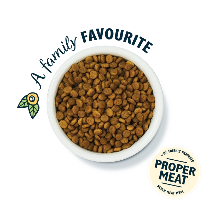 Lily's Kitchen Senior Recipe White Fish with Turkey & Trout Dry Cat Food