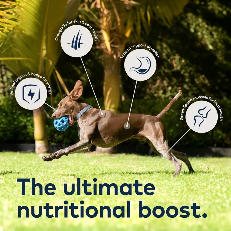 ZIWI Peak Air Dried Lamb Dry Dog Food