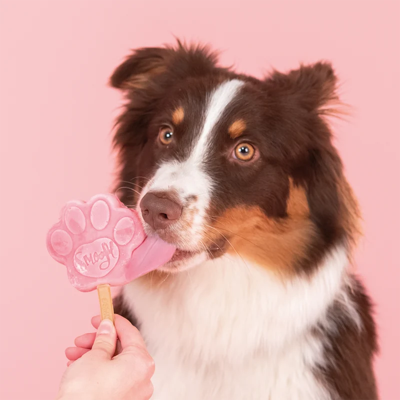 Smoofl Watermelon Mix for Dog Ice with 10pcs Chew Sticks - 105G