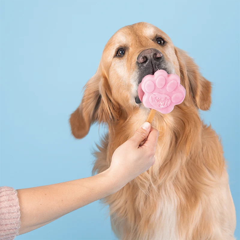 Smoofl Strawberry Mix for Dog Ice with 10pcs Chew Sticks - 105G