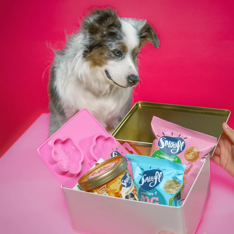 Smoofl Gift Box (2 Dog Pops + Creamy Mix + Medium Mould)