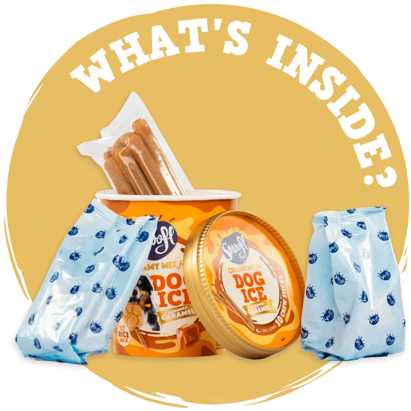 Smoofl Creamy Caramel Mix for Dog Ice with 10pcs Chew Sticks - 105G