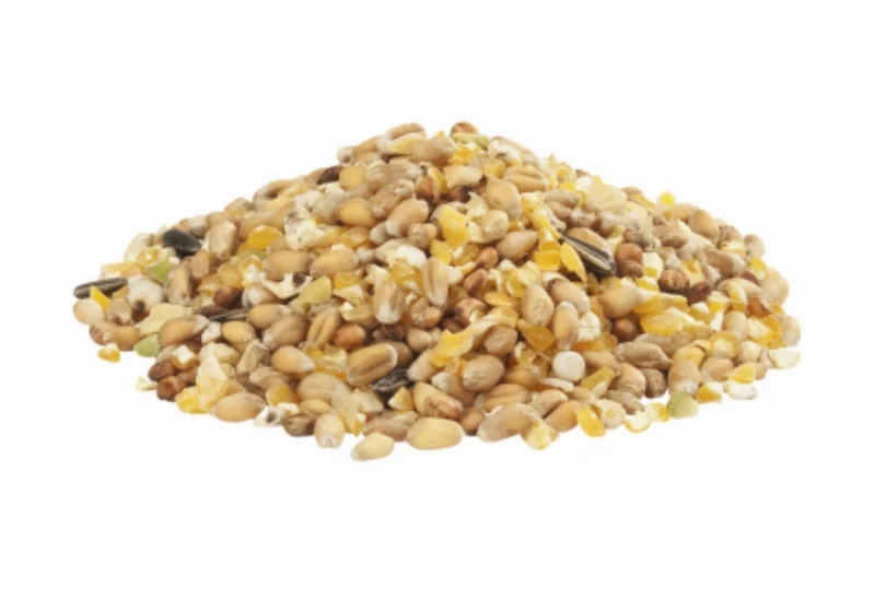 Country's Best Gra-Mix Pienso para pollos de grano Ardenas 4kg