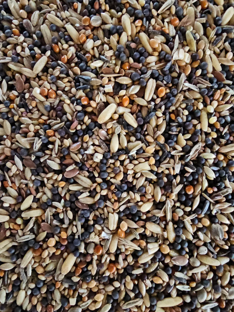 Semillas Saludables Vitakraft.