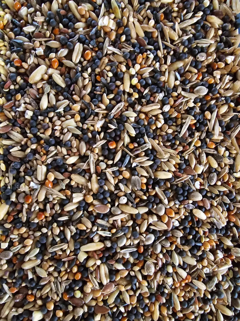 Semillas Saludables Vitakraft.