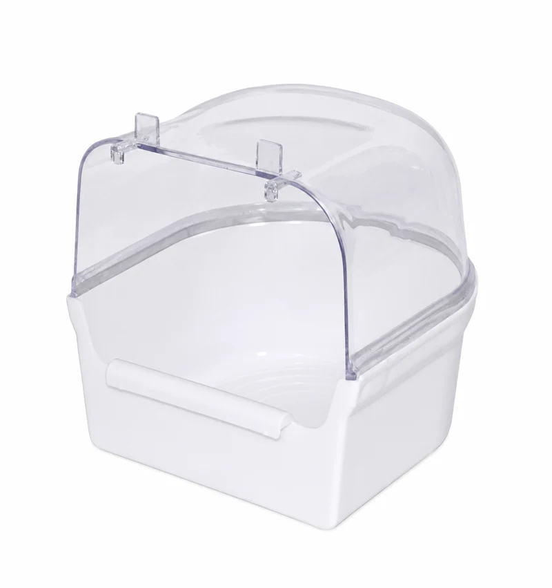 Baño de la casa grande blanco / transparente
