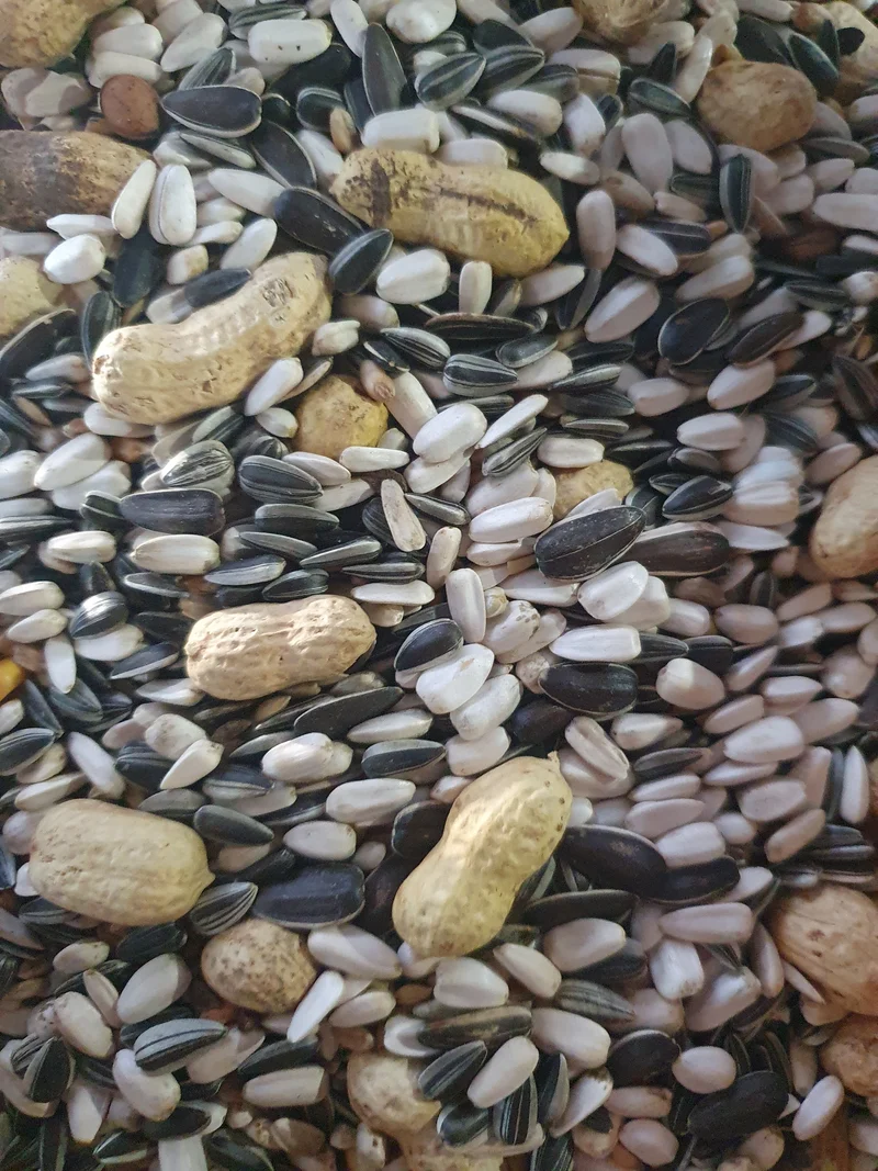 Parrot Mix Duvo+ 1kg
