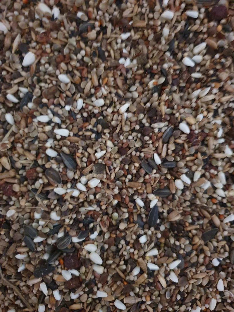Camachuelos Tío Freddy 1kg - Hobbyfarm Hoebregts