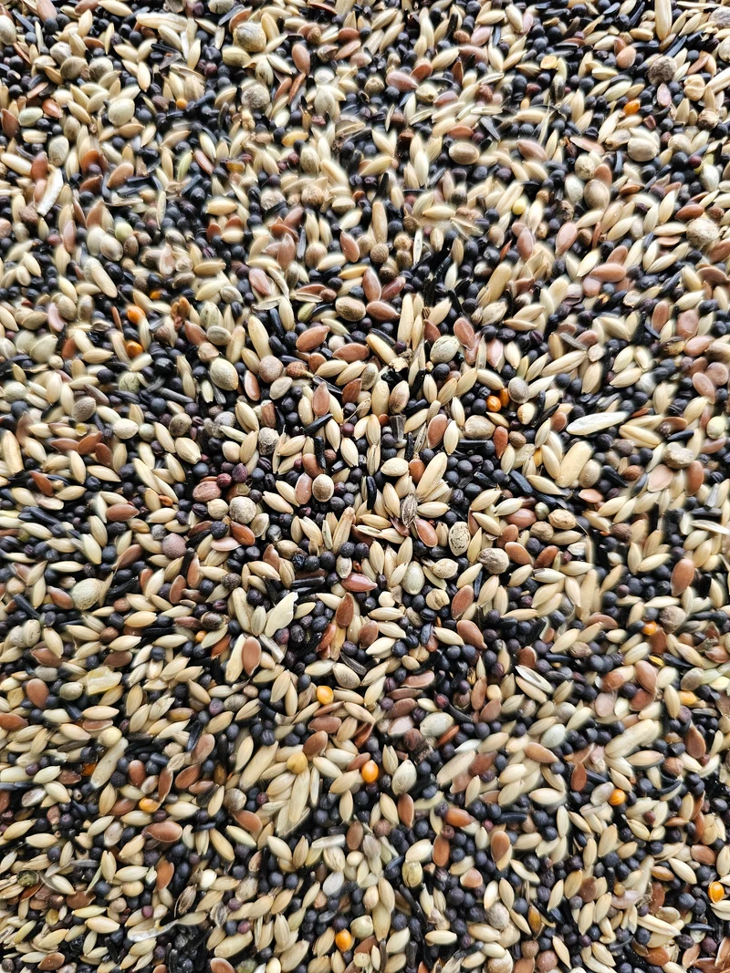 Jilguero y Jilguero 25kg - Hobbyfarm Hoebregts