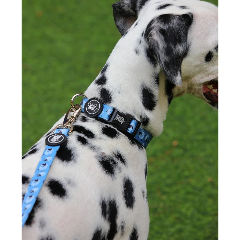 Bud & Billy Dog Collar (XXS-XL) - Counting Sheep Collection, Blue & White