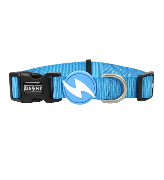 Dashi Solid Collar for Dogs