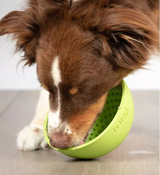 LickiMat Wobble for Dog