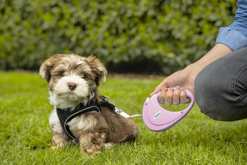 Trixie flexi PUPPY Retractable Tape Leash