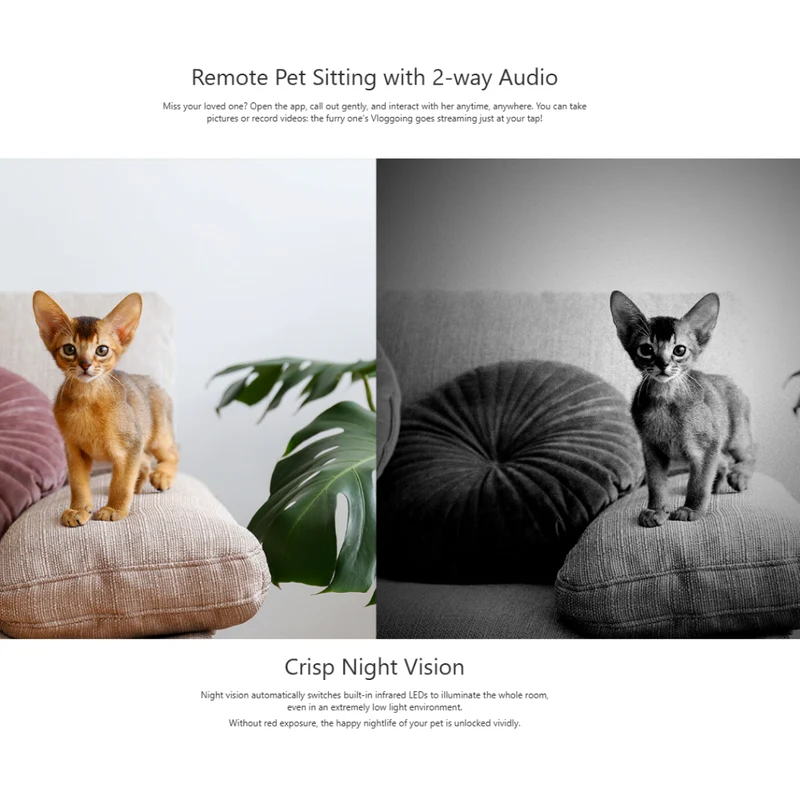 Petoneer HD 2-Way Audio Smart Pet Camera With Motion Sensor & Night Vision