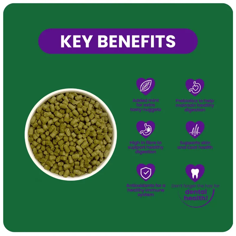 Burgess Excel Nuggets for Adult Chinchilla With Mint 1.5KG