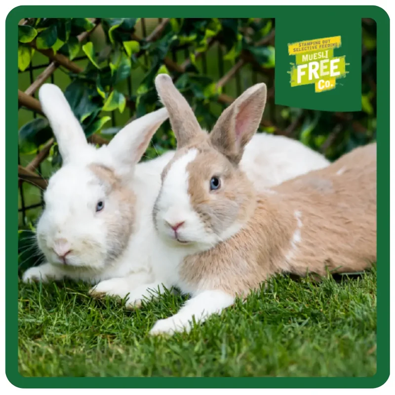 Burgess Excel Nuggets With Mint For Adult Rabbit 10KG