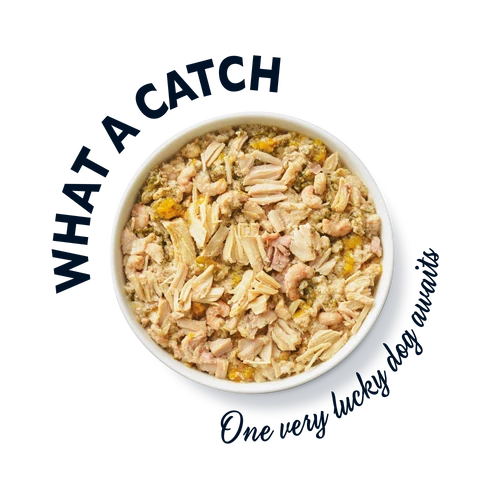 Lily's Kitchen The Ultimate Chicken with Salmon Supper Wet Dog Food - 150G