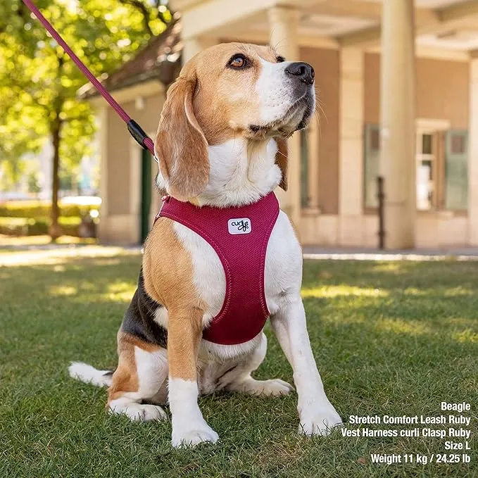 Curli Belka Air-Mesh Harness for Dogs - RED/XXXL