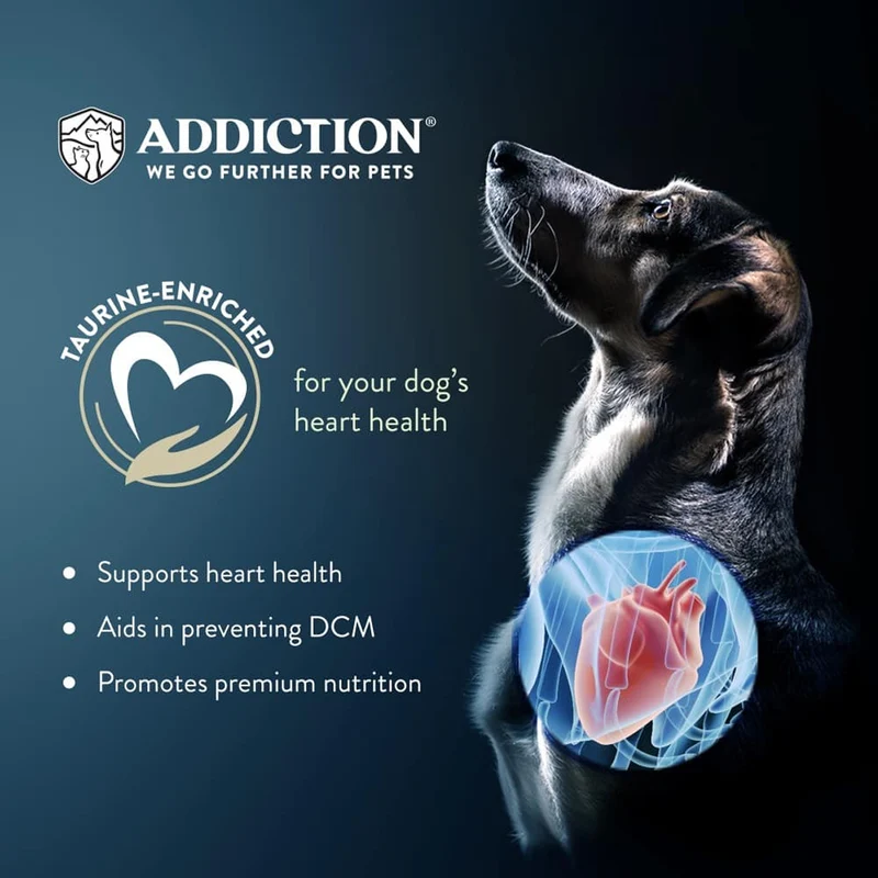 Addiction Le Lamb Grain-Free Skin & Good Digestion Dry Dog Food