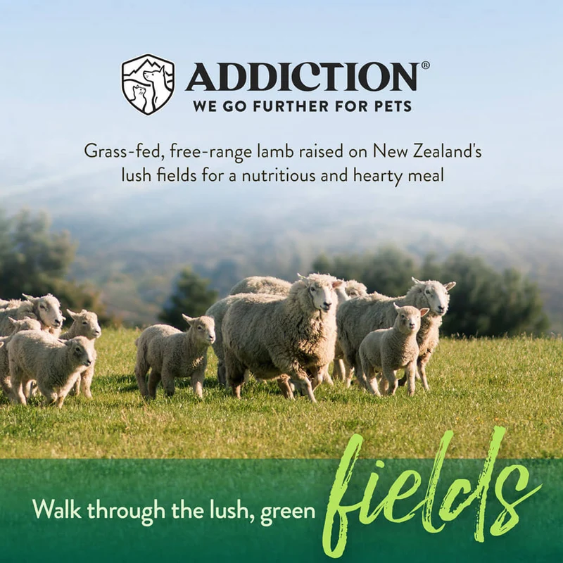 Addiction Le Lamb Grain-Free Skin & Good Digestion Dry Dog Food