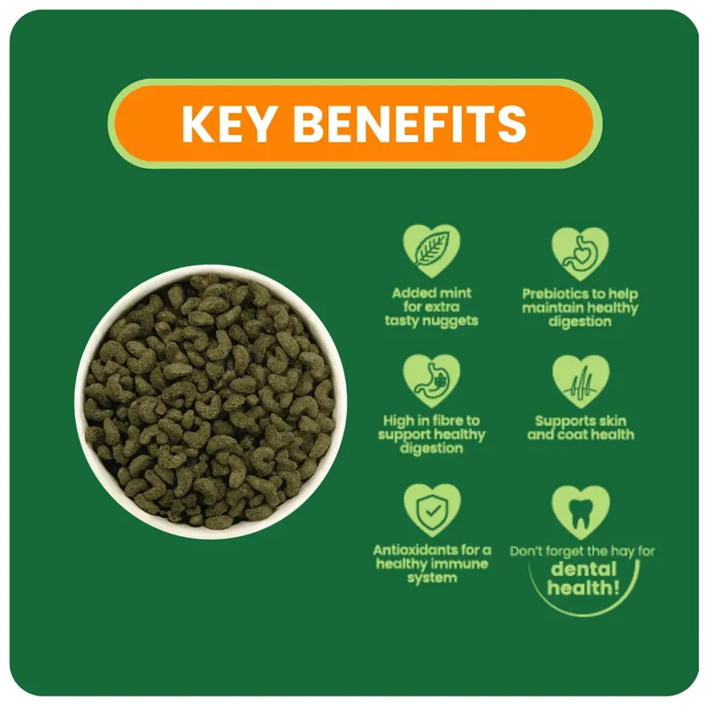 Burgess Excel Nuggets With Mint For Adult Guinea Pig 3KG