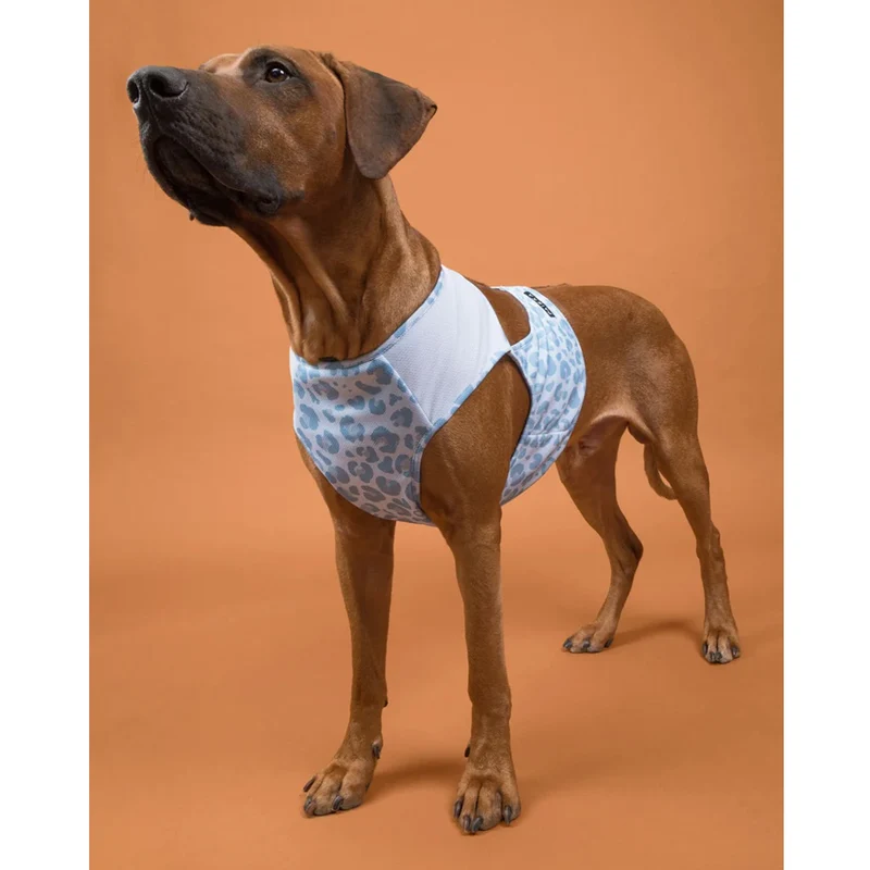 PAIKKA Cool Vest Snow Leo for Dogs