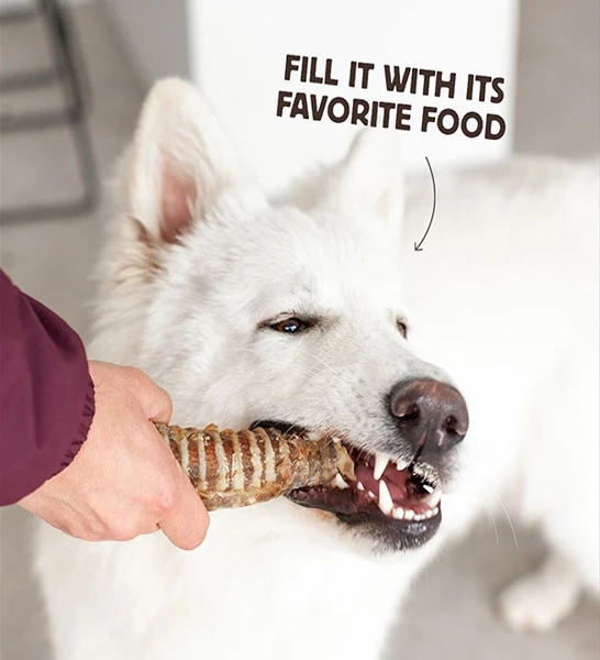 Wild Balance Natural Snack Beef Trachea for Dogs 100G