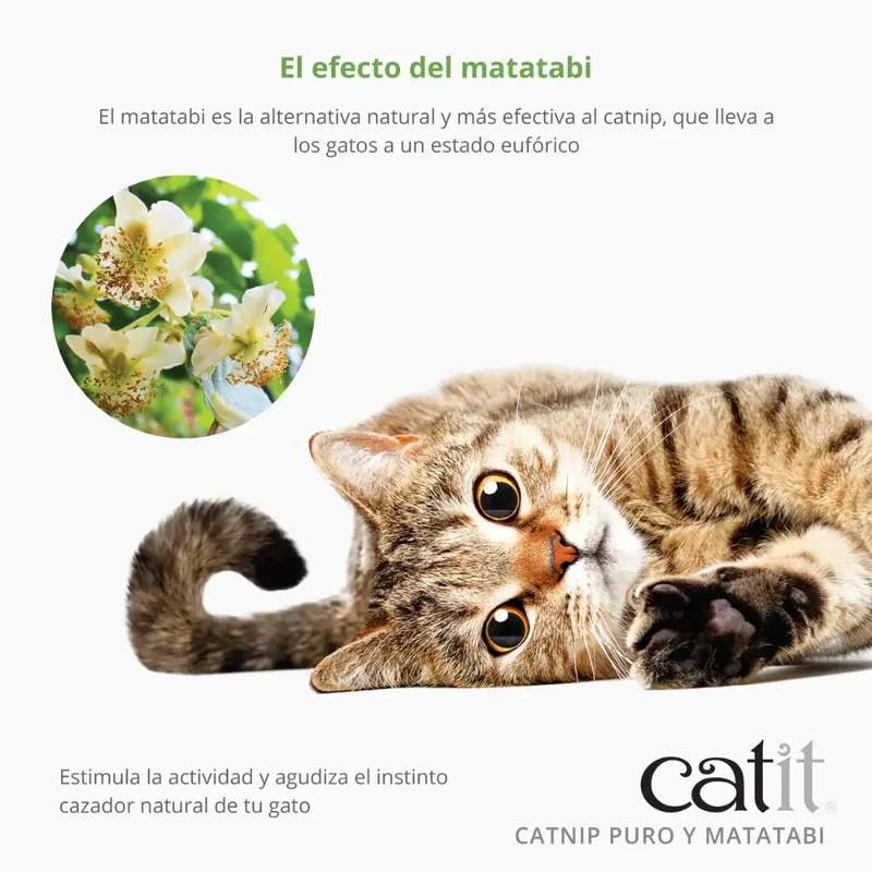 Catit Mezcla de Catnip y Matatabi Secos 28 g