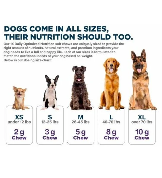 Synergy Labs Calm Plus For Dogs 150g