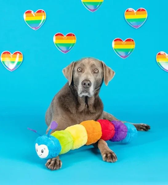 Petshop by Fringe Studio Don't Bug Me Plush Dog Toy 17x60cm