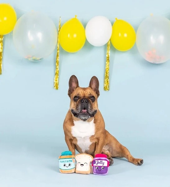 PetShop by Fringe Studio Sticky Situation 3pcs Small Dog Toy Set 10x9cm