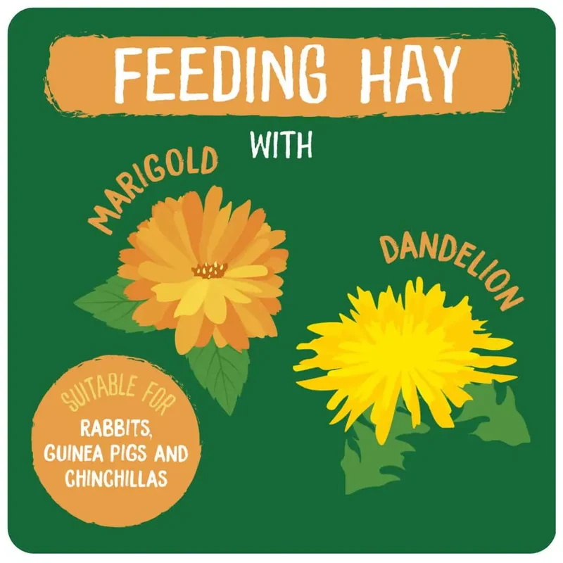 Burgess Excel Dandelion & Marigold Feeding Hay for Small Pets 1KG