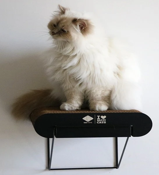 D&D Home I Love Happy Cats David Cardboard Wall Mountable Cat Shelf