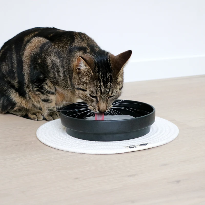 D&D Home I Love Happy Cats Ace Ceramic Non-Slip Drinking Bowl For Cats