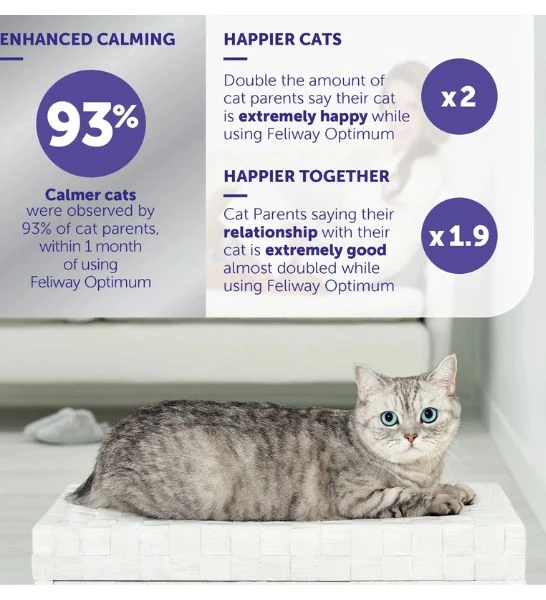 Feliway Optimum Refill for Cats 48ml
