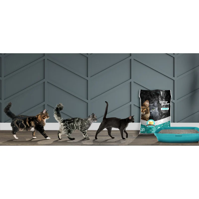 Odour Buster Multi-Cat Clumping Unscented Cat Litter 12kg
